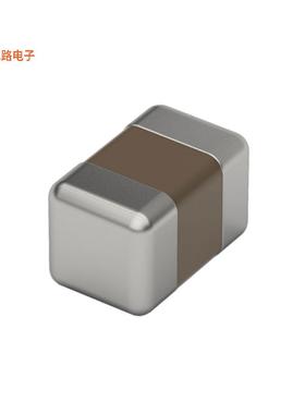 885012207098R -原装[WCAP-CSGP GENERAL PURPOSE MLCC S0.1 F