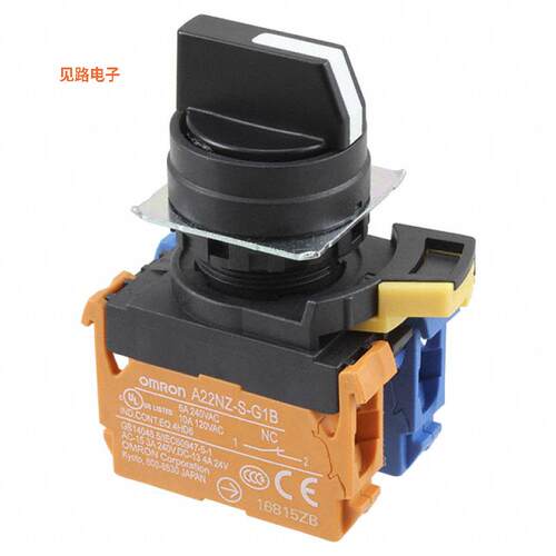 A22NS-2BL-NBA-G102-NN -[全新SWITCH SELECT 2POS DPST