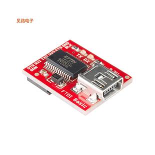 MODULE 09873 2.0 USB 全新BRIDGE