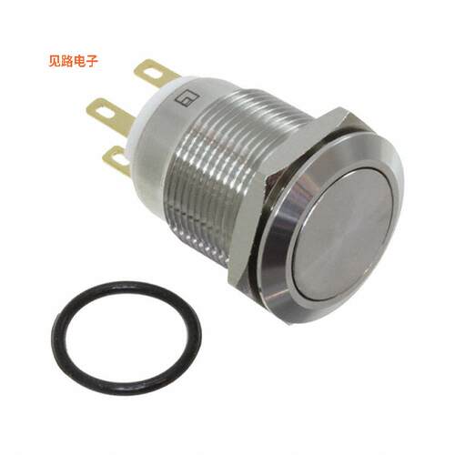 PV4F2Y0SS -[全新SWITCH PUSHBUTTON DPST 2A 24V]