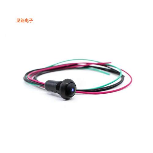 RP8100B2W1CEBLKBLKBLU -[全新SWITCH PB SPST-NO 0.125