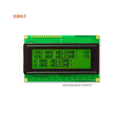 AMC2004AR-B-Y6WFDY -[全新20X4 CHARACTER LCD STN YG]