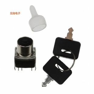 2POS KEYLK DPDT 0.4VA SK22BG13 28V 全新SWITCH