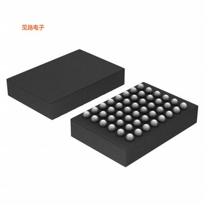 B250W48A106XXG -[全新IC PROCESSOR AUDIO 16BIT 48WLCSP]