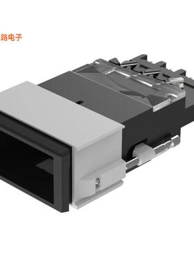03-621.011 -原装[SWITCH PB DPDT 10A 400V前面板安装