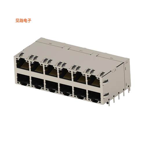 2497276-2 -[全新RJ45 W/MAG 2X6 10G LIGHT PIPE PL]