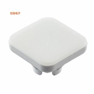 921.9 WHT 全新CAP SQUARE PUSHBUTTON