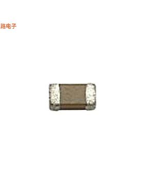 BC04306608DXBAJ -[全新CAP CER]