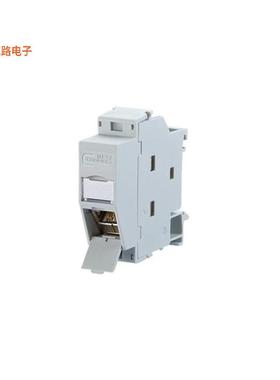 1309A17003-E -原装[RJ45 IP20 REGPLUS EDAT 90 DEG. D插孔