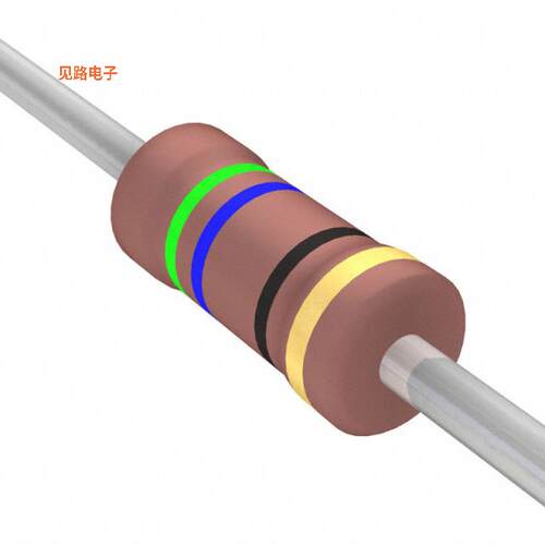 FMP200JR-52-56R -[全新RES 56 OHM 5% 2W AXIAL]