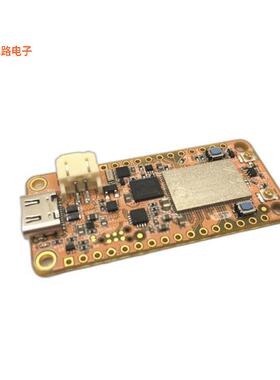 PASSY-NRF9160-FEATHER -[全新NRF9160 FEATHER NB-IOT C