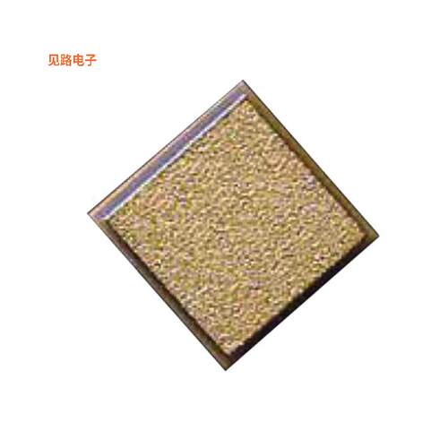 GH161L101MN6N -[全新CAP CER 100PF 100V NONSTND]