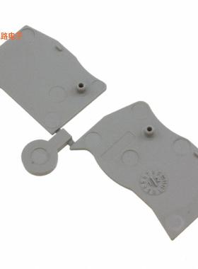 3205200 -原装[CONN TERM BLK END PLATE GRAY端板