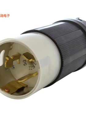 CS6365-RK -原装[AC PLUG NON-NEMANON-NEMA（3P4W