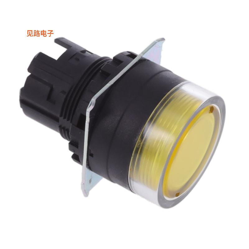 A22NZ-BGM-TYA -[全新CONFIG SW BODY PUSHBUTTON ILLUM]