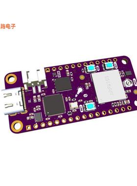 PASSY-NRF9151-FEATHER -[全新NRF9151 FEATHER NB-IOT C