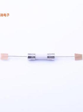 0216005.MRET1P -[原装插件,D5.5xL21.5mm]