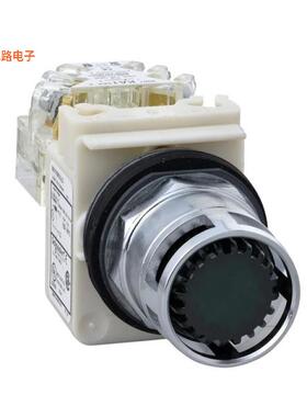 9001K3L35GH13 -[全新CONFIG SW BODY PUSHBUTTON ILLUM]