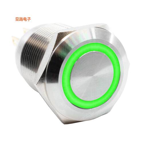 PV4F2Y0SS-335 -[全新SWITCH PUSHBUTTON DPST 2A 24V]