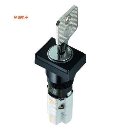 1.15.108.852/0000 -[全新SWITCH KEYLOCK 2POS 4PST 4A 250V]