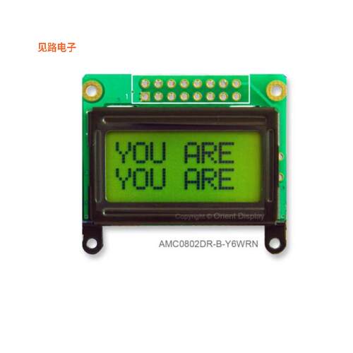 AMC0802DR-B-Y6WRN -[全新LCD COB CHAR 8X2 Y/G TRANSF]