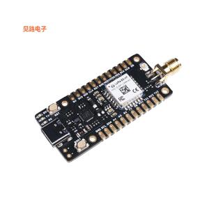 113990939 -[全新WIO-E5 MINI DEV BRD STM32WLE5JC]