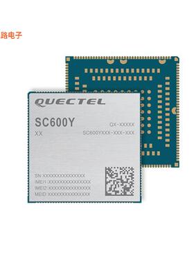 SC600YNAPA-E53-UGADA -原装[RF TXRX MOD BT NAV WIFISMD未验证