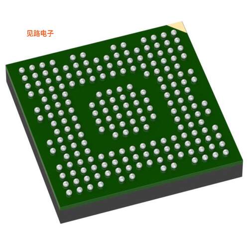TPS65950A2ZXN -[全新IC PWR MGMT W/11 LDO 209-BGA]