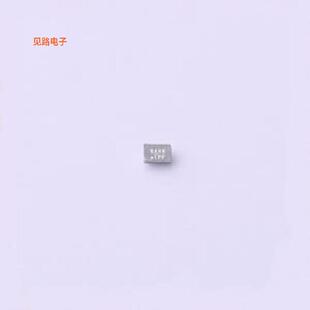 SI8499DB-T2-E1 -[原装MicroFoot-7]