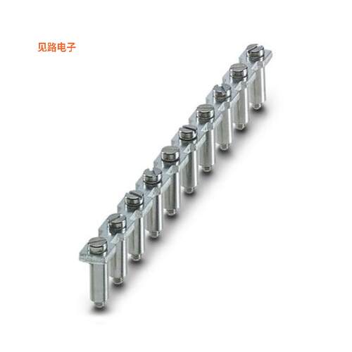 3075951 -[全新JUMPER TERM BLK 10POS SCREW]