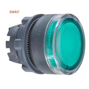 全新CONFIG ILLUM PUSHBUTTON BODY ZB5AW333