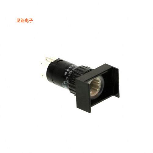 51-121.012 -[全新SWITCH PB DPST-NO/NC 5A 250V]