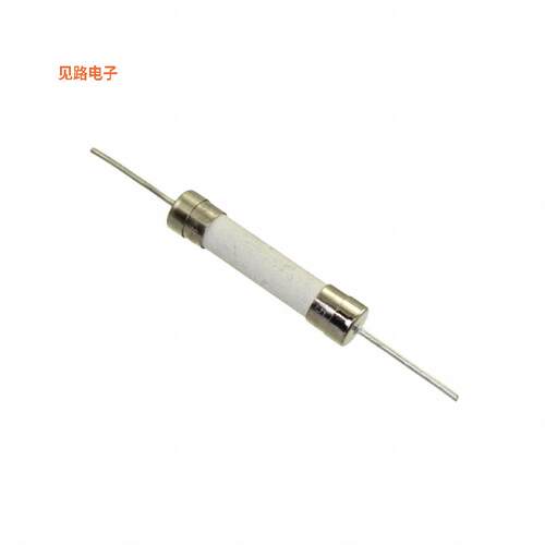 8020.0609.H.PT -[全新FUSE CERM 50A 250VAC 70VDC 3AB]