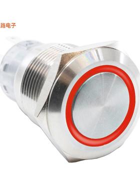 PV4F2H0SS-315 -原装[SWITCH PB DPDT 2A 24V前面板安装