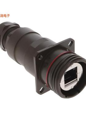 RJFTV62APEM1G -[全新CONN MOD COUPLER 8P8C TO 8P8C]