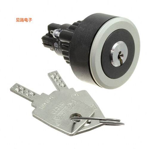 K14-135.22200 -[全新SWITCH KEYLOCK 2POS DPST 5A 250V]