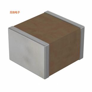 原装 CAPACITOR22 MULTI CERAMIC LAYERED 1210J5000220JQT