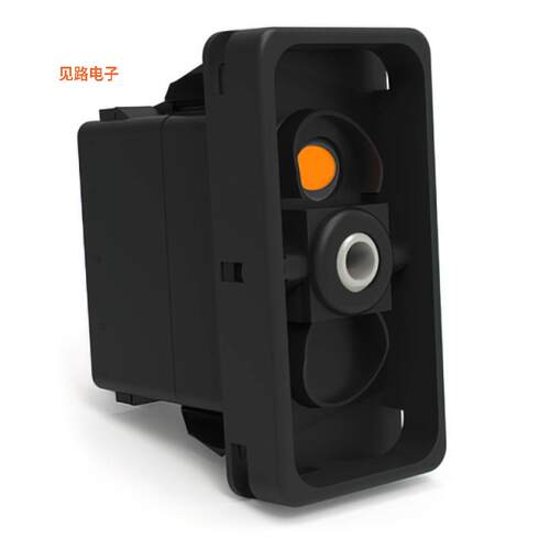 VLD2AN01-00000-000 -[全新2-pole, (ON) - OFF - (ON), 20A]