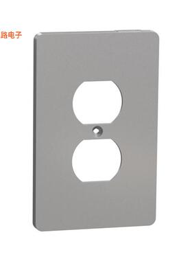 SQWS422011GY -[全新1 G MID+ DUPLEX OUTLET WALL PLAT]