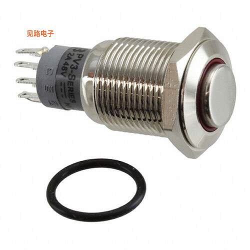 PV3H2H0NN-311 -[全新SWITCH PUSHBUTTON DPDT 2A 48V]