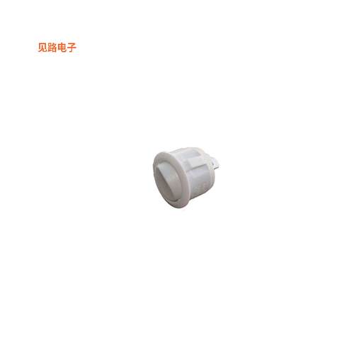 RA1-1A-DC-2-H -[全新SWITCH ROCKER SPST 10A 125V]