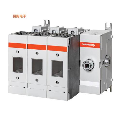 M60J30 -[全新SWITCH.FUS 60A J R 3+0 POS.]