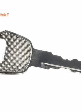 AT4153-021 -[全新SW KEY HIGH SECURITY SW KEY #21]