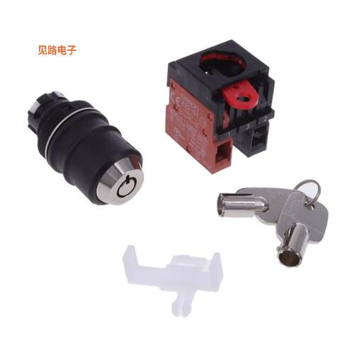 A22TK-2LR-11-K01 -[全新SWITCH KEYLCK 2POS DPST 10A 110V]