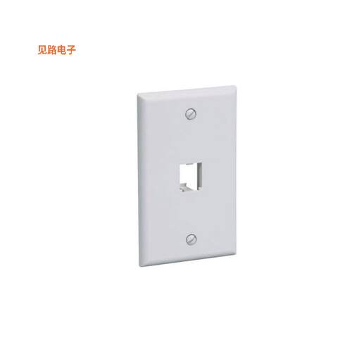 CFP1IG -[全新FACEPLATE, 1 PORT, CLASSIC, INTL]