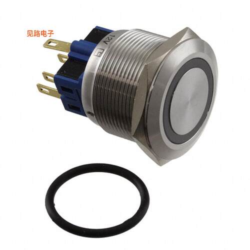 PV8F2Y0SS-314 -[全新SWITCH PUSHBUTTON DPST 2A 36V]