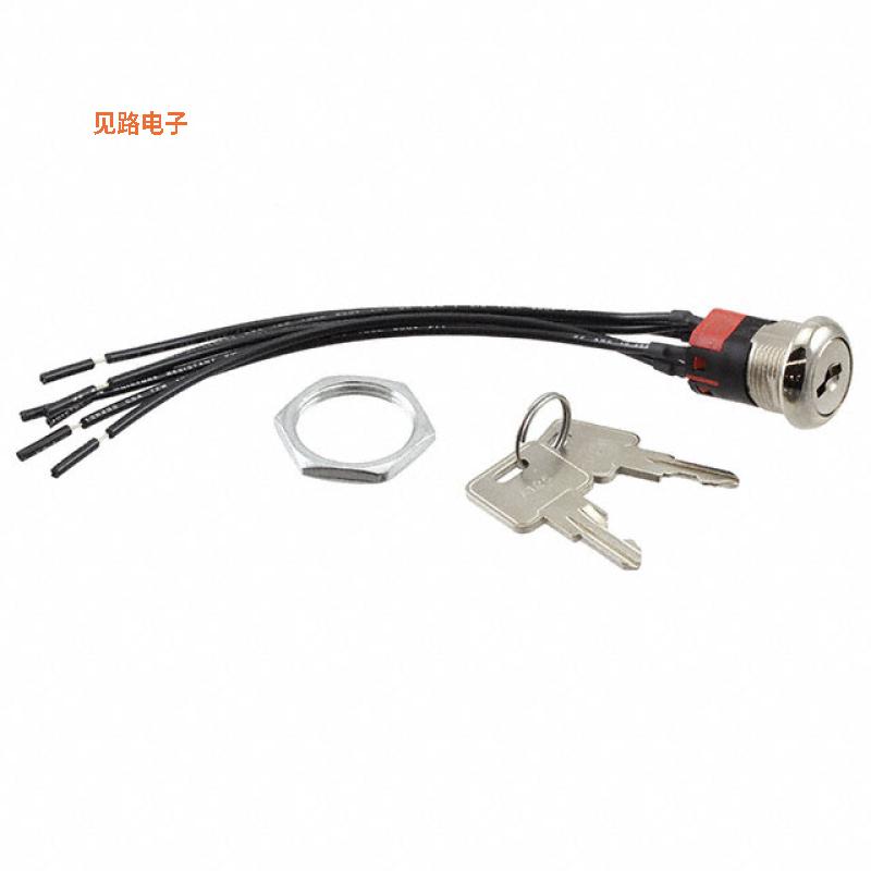 Y2011U2C2WCNQ-[全新SWITCH KEY 2POS DPDT 4A 125V 4PC]