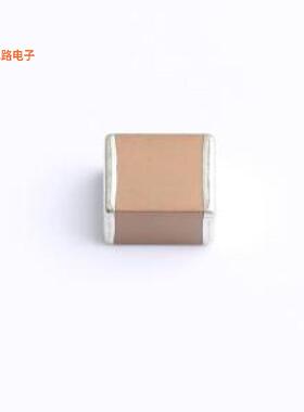 FS55X476K250LRG -[原装贴片(MLCC)2220