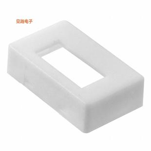 N10W NEON 全新RECTANGULAR BUTTON AML52