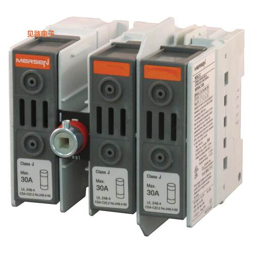 M30J12 -[全新SWITCH.FUS 30A J 1+2 POS.]